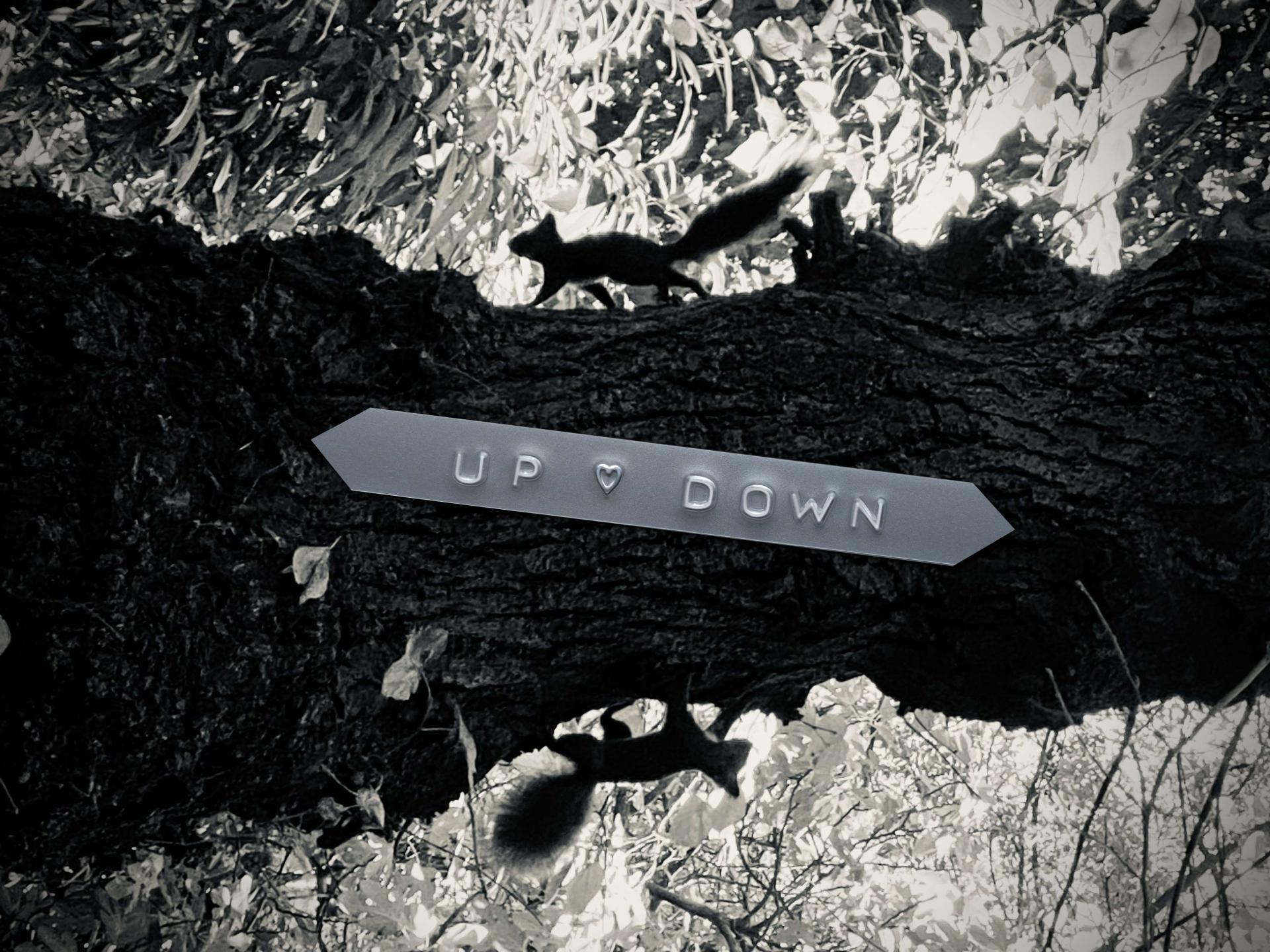 UP & DOWN